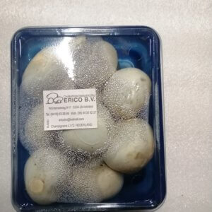 Champignons (250gr)