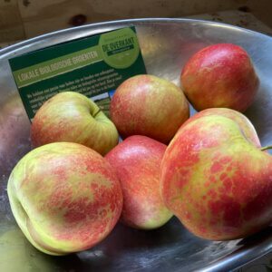 Appel Red Prince (±1 kg) bio
