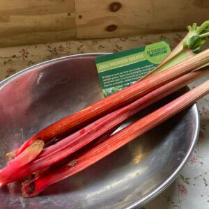 Rabarber (± 500 gram) uit eigen tuin bio