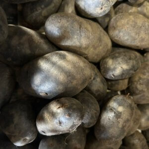 Vitanoire paars, 500 gram (bio* EH)