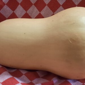 Flespompoen ±2400 gr (bio)