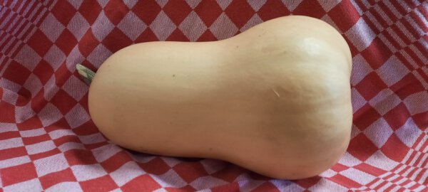 Flespompoen ±2400 gr (bio)