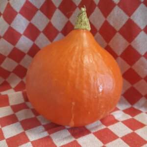 Pompoen Hokkaido (bio* KN)