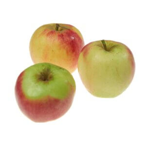 Elstar appel middel (VH) 1 kg