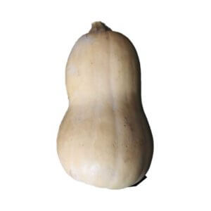 Flespompoen (VH) per stuk