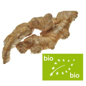 Gember (VH) bio 250 gr