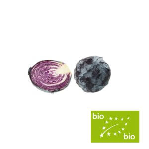Rode kool (VH) bio 1 kg