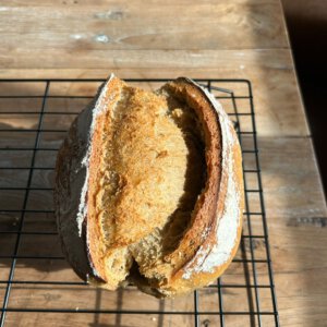 Biologisch zuurdesem spelt (licht) (ongesneden)