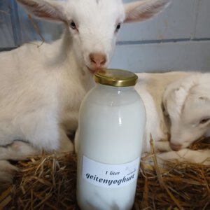 Geitenyoghurt 1 liter  ( inclusief €1 statiegeld)