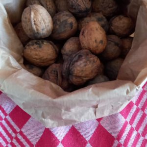 Walnoten, 500 gr (bio* KN)